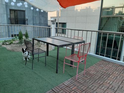 Hongdae Women's Share House (1)