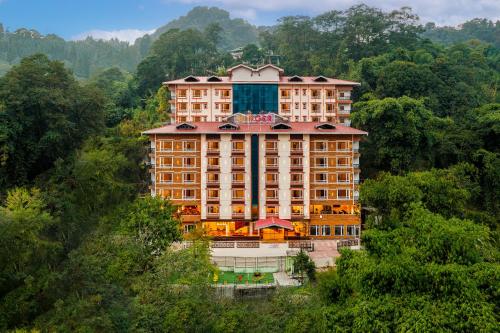 Ginger Gangtok, Gangtok