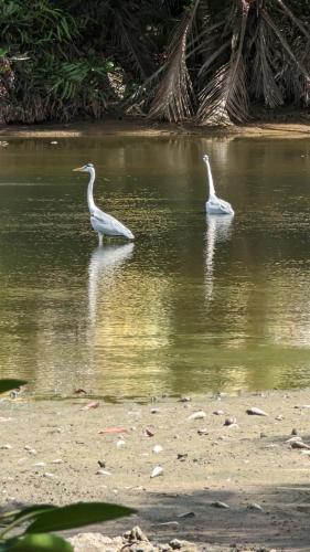 拉贝尔托图山林小屋 拉贝尔托图山林小屋