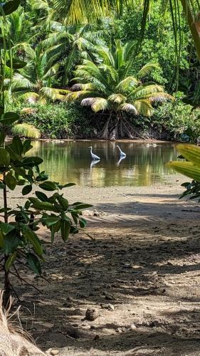 拉贝尔托图山林小屋 拉贝尔托图山林小屋