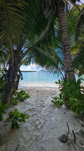 拉贝尔托图山林小屋 拉贝尔托图山林小屋