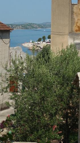Apartmani Sanja