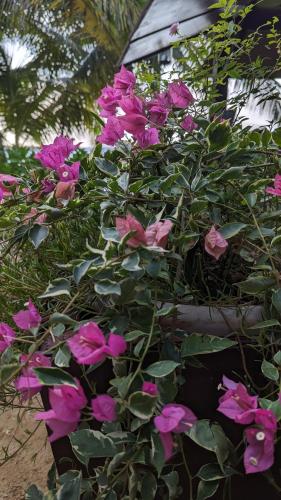 拉贝尔托图山林小屋 拉贝尔托图山林小屋