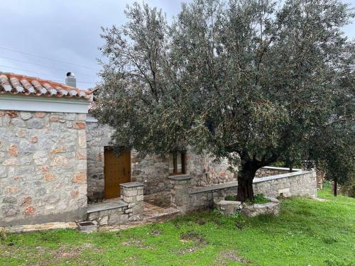 Cheerful 3 bedroom cottage with indoor fireplace - Location saisonnière - Avgón