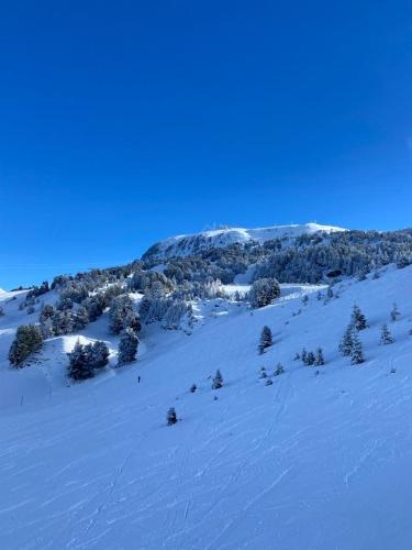 Chamrousse - Résidence Eterlou