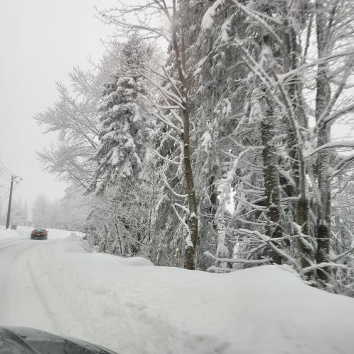 VILA DARIA in Vartop