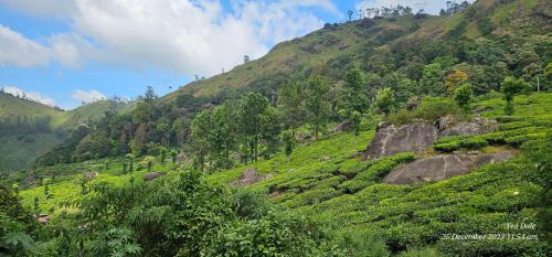 Tea Dale - All rooms with Tea Estate view in โปธามทุ