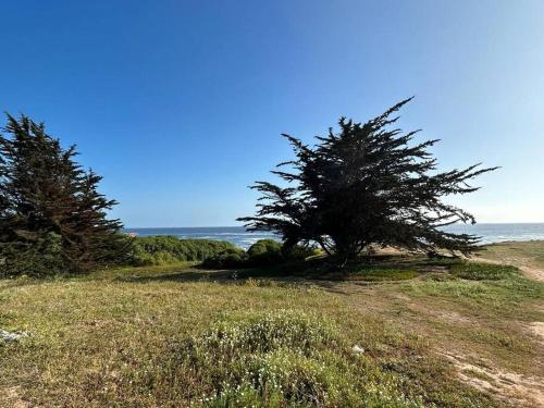 Gran Vista a Costa de Isla Negra