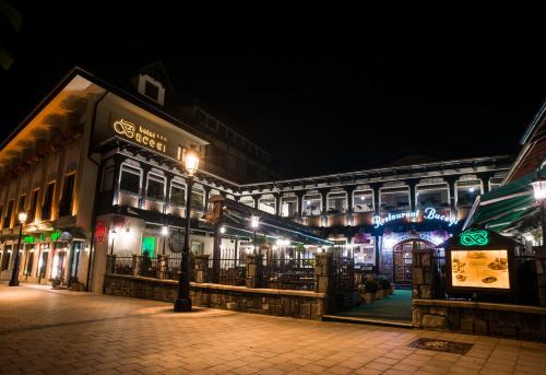 Hotel Bucegi, Sinaia