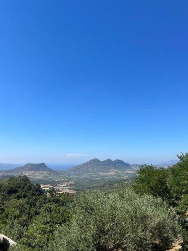 Maison avec vue imprenable sur le golfe de St Florent et les vignobles de Patrimonio - Location saisonnière - Poggio-d'Oletta