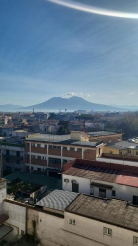 Live Naples Suite