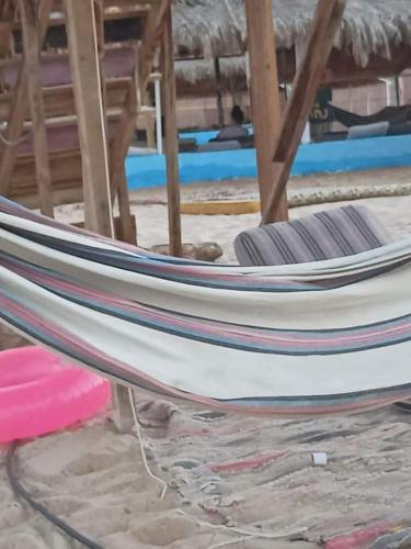 انتيكا كامب in Taba