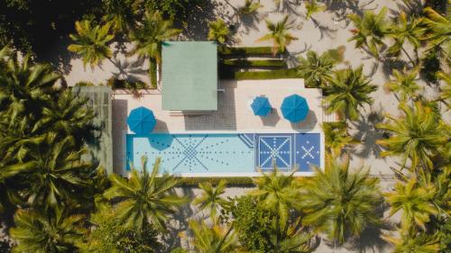 La Mar de Bien Tayrona · Buritaca