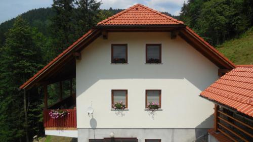 Вхід, Apartments Savinja in Луце