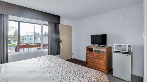 Viking Motel - image 2