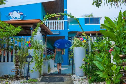 Vue extérieure, Toro Blanco in Coco