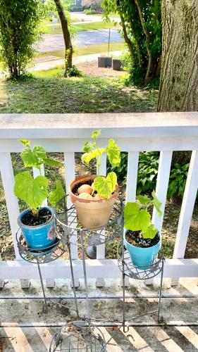 B4 A private room in Naperville downtown with desk and Wi-Fi near everything in Naperville (IL)