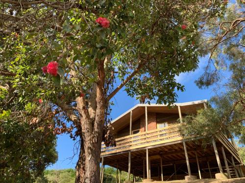 Ngoại cảnh khách sạn, Iluka Retreat Glamping Village in Mornington Peninsula