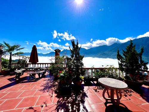 キャット キャット ビュー