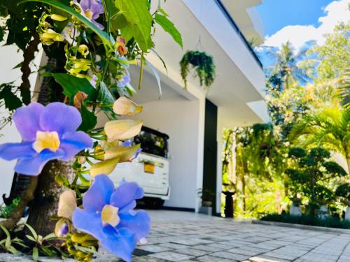 Tropical Plant Villa - Tangalle - Tap to explore photos
