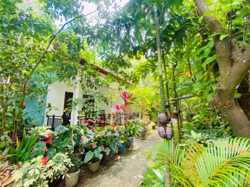 Exterior view of Priyavimana resort