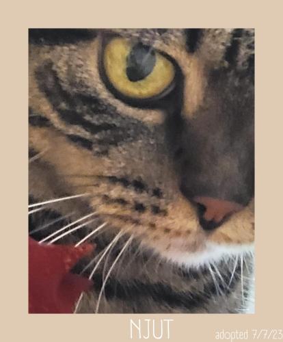 Plug inn Montmartre by Hiphophostels - image 9