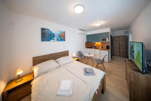 Ubytovani v soukromi v Sachu in Borovna