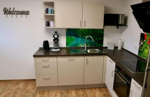 廚房, Ferienappartement Albschätzle (Ferienappartement Albschatzle) in 加默廷根