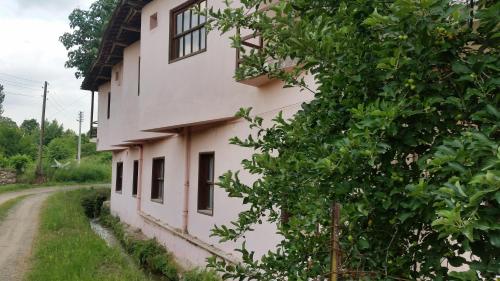 Elmas Pansiyon in Geire