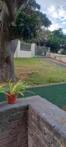 Neptune Guest Cottage in Bluff