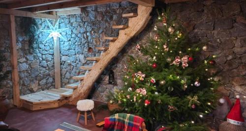 Chateau Orman in Chekoshtina