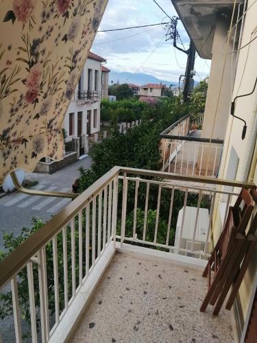 Dandelions in 迪亞高普圖