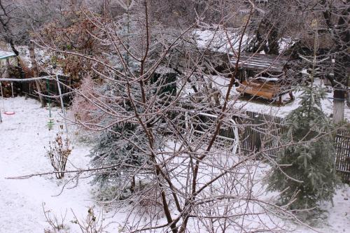 Pensiunea Paloma 3 stele Brasov - image 5