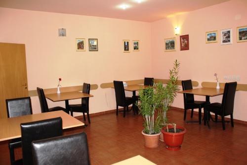 Pensiunea Paloma 3 stele Brasov - image 9