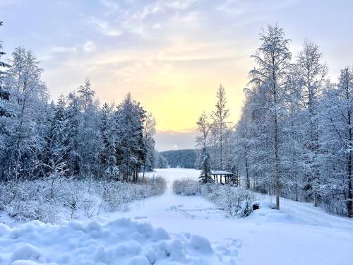 Large One-Bedroom Chalet (no electricity)