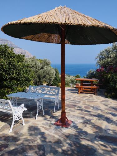 ZACHAROULA ROOMS 2 - Μανδριά