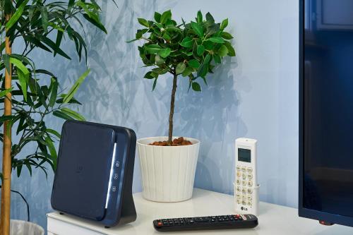 Good Vibes Rome comfort and quality - image 5