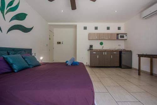 Iris Studios Apartments — Photo 2