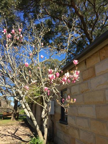 Garden Hill Sandstone Villas: Shoalhaven NSW Australia