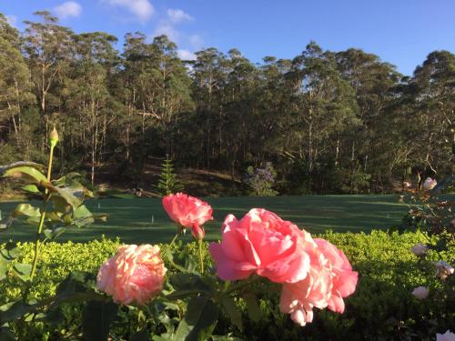 Garden Hill Sandstone Villas: Shoalhaven NSW Australia