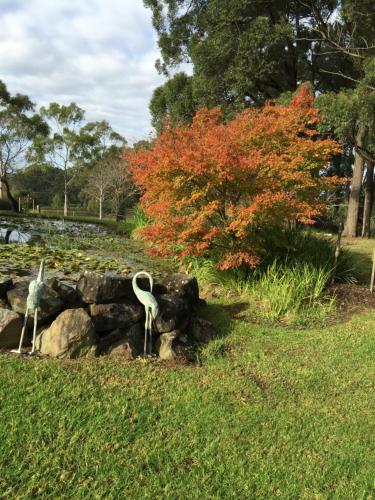 Garden Hill Sandstone Villas: Shoalhaven NSW Australia