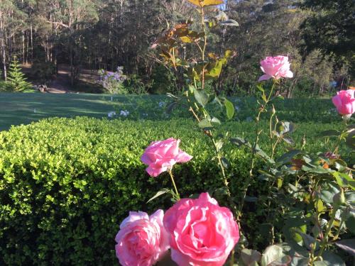 Garden Hill Sandstone Villas: Shoalhaven NSW Australia