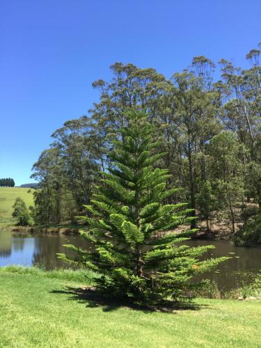 Garden Hill Sandstone Villas: Shoalhaven NSW Australia