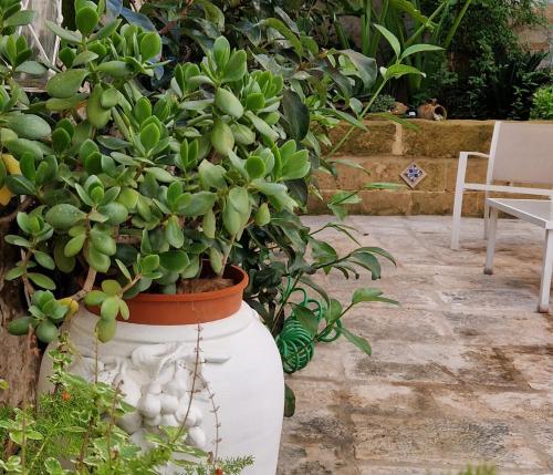  Xenia Boutique Apartment in Trepuzzi