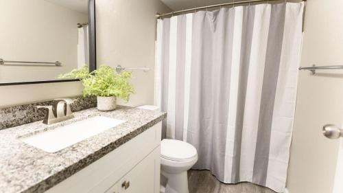 Updated Condo in A Old Town Scottsdale Location - image 12
