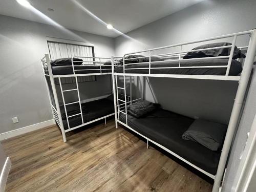 Green HomeStay address changed Room Type - Single Bed in 4-Bed Dormitory Room