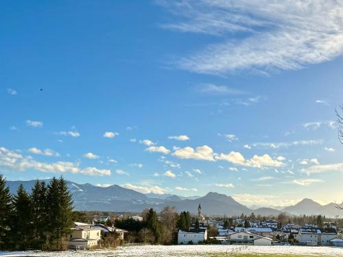 LOEWENHERZ HOMES Luxury Apartment - Stadt- und Seenähe - fellnasenfreundlich - lichtdurchflutet