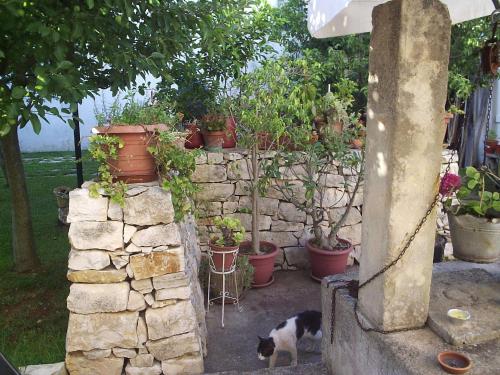 B&B RimediRo