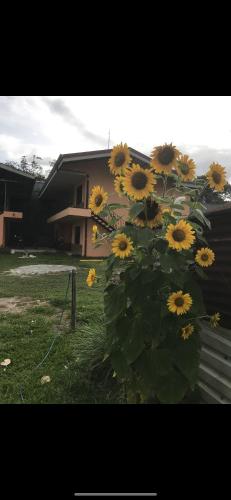 Sky Hostel in La Fortuna