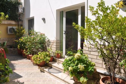 Hotel Pik Loti - image 10